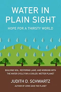 Cover of Water in Plain Sight