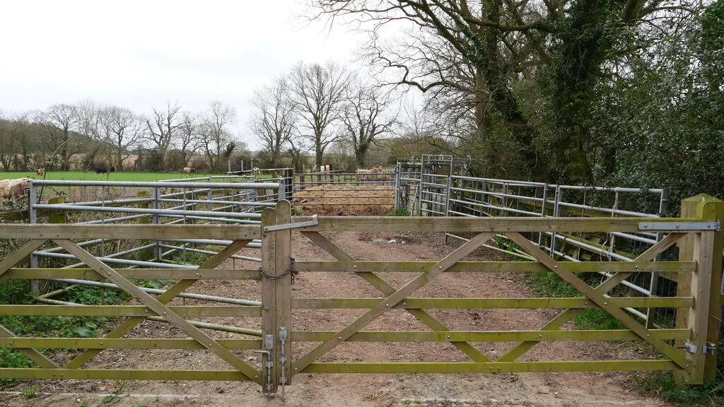Galvanized steel gates and panels forming cattle handling pens on a farm