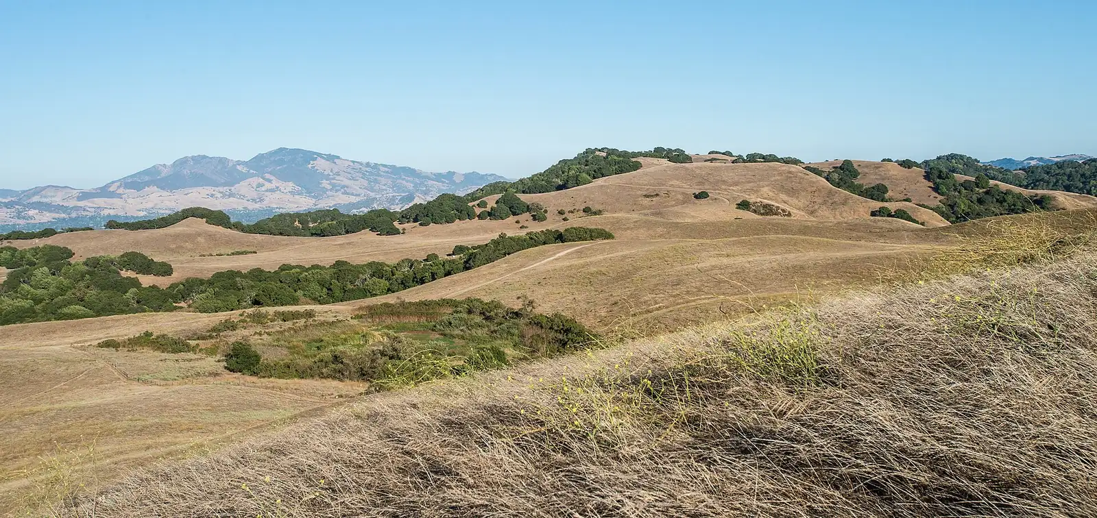 Golden grassland hills with oak patches, where an NRCS-assisted remote water trough sits far up the slope